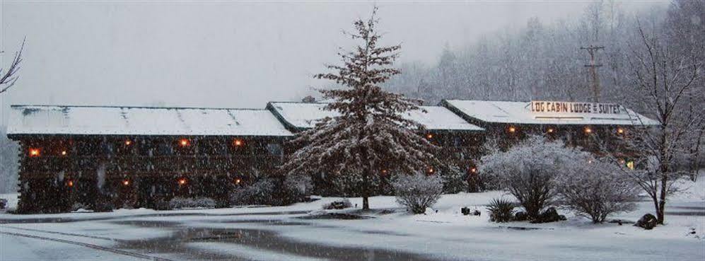 Log & Hotel